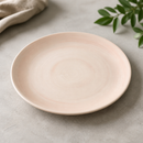 Commercial Coupe Plates 285mm - 12 Pack Stonecast Canvas