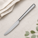 Commercial Side Plate Knives 12 Pack Stainless Steel Cutlery