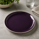 Commercial Coupe Plates 252.5mm Nordic Style 12 Pack