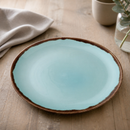 Commercial Coupe Plates Turquoise 288mm - 12 Pack
