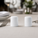Commercial Salt Shakers 12 Pack Durable Alumina Vitrified Ceramic