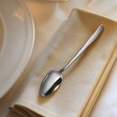 Commercial Stainless Steel Teaspoons 12 Pack Elegant Cutlery