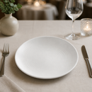 Commercial Deep Plates 243mm Vitrified Stoneware 6 Pack