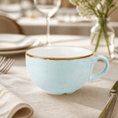 Commercial Cappuccino Cups Duck Egg Blue 12oz 12 Pack