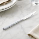 Commercial Steak Knives Set of 12 - Elegant Stainless Steel