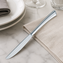 Commercial Hollow Handle Dinner Knife 250mm 12 Pack