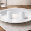 Commercial Salt Shakers 12 Pack Durable Alumina Vitrified Ceramic
