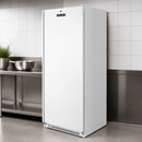 Commercial Upright Freezer 600Ltr Single Door Stainless Steel