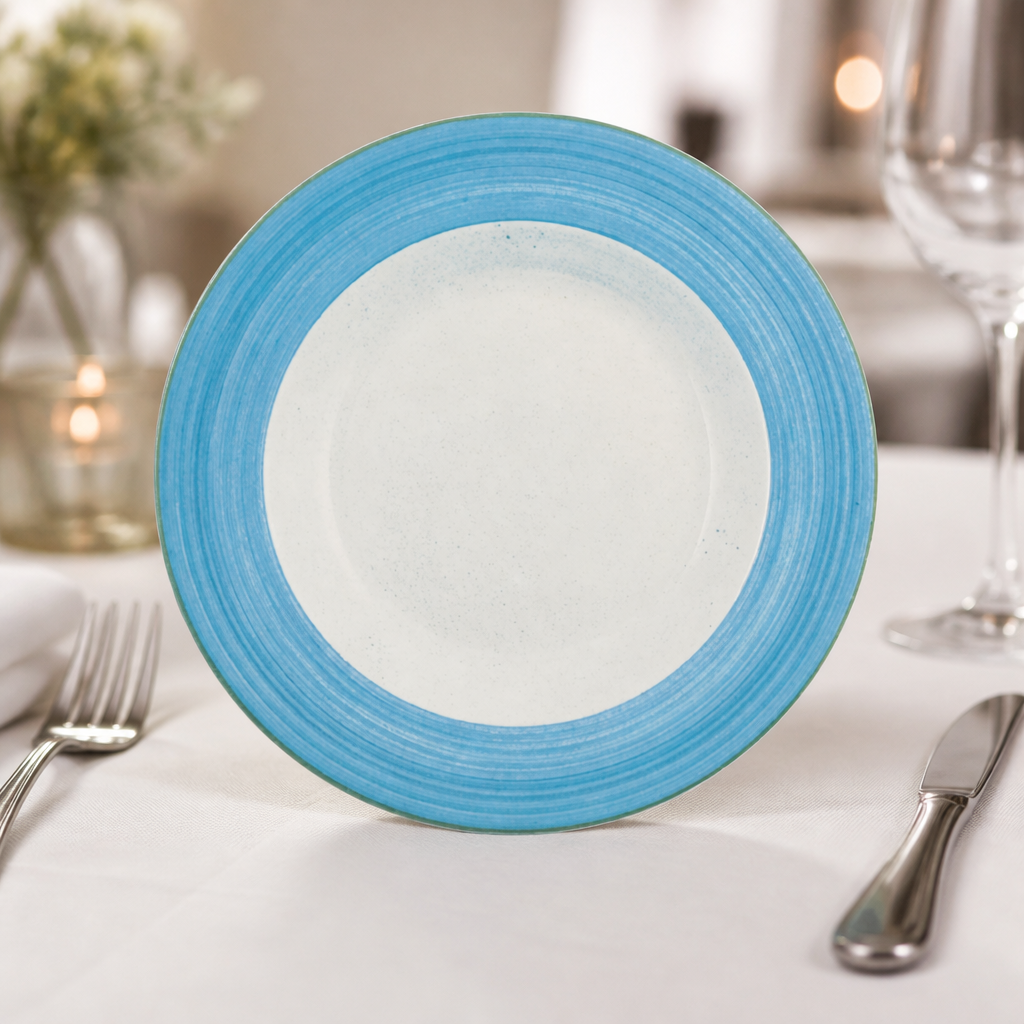 Commercial Blue Slimline Plates 270mm - 24 Pack