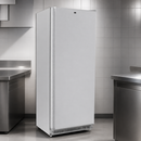 Commercial Upright Freezer 600Ltr Stainless Steel Single Door