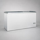 Commercial Glass Door Freezer 492L Capacity Ideal for Retail