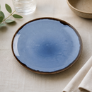 Commercial Indigo Coupe Plates 220mm - 12 Pack Vitrified Ceramic