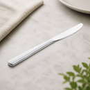 Commercial Stainless Steel Tea Knives 12 Pack 189mm Length