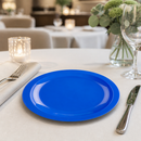 Commercial Polypropylene Plates 174mm Blue 12 Pack