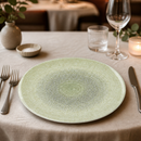 Commercial Coupe Plates 295mm Green Organic 12 Pack