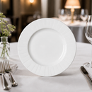 Commercial Mid Rim Plates 230mm - 24 Pack Durable Glaze