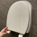 Commercial Toilet Seat with Fixing System and Hinges