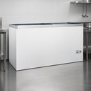 Commercial Glass Door Freezer 492L Capacity Ideal for Retail