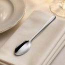 Commercial Stainless Steel Teaspoons Set of 12 for Dining