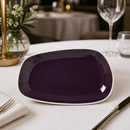 Commercial Nordic Trays 240mm Damson 12 Pack Durable Design