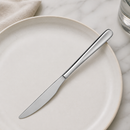 Commercial Stainless Steel Dessert Knives 12 Pack Elegant Design