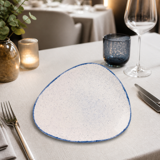 Commercial Triangular Plates 265mm Indigo Blue 12 Pack