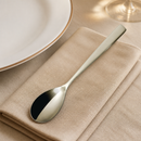 Commercial Stainless Steel Tablespoons Set of 12 for Dining