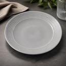 Commercial Coupe Bowls Grey 248mm - 12 Pack Harvest Norse