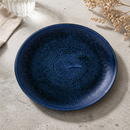 Commercial Coupe Plates 10.25" Ultramarine 12 Pack Super Vitrified