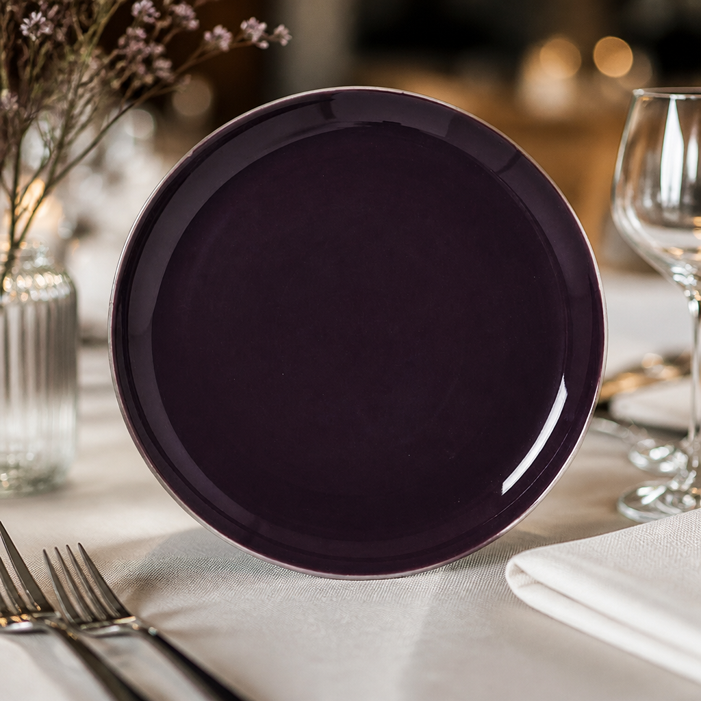 Commercial Coupe Plates 252.5mm Style 12 Pack