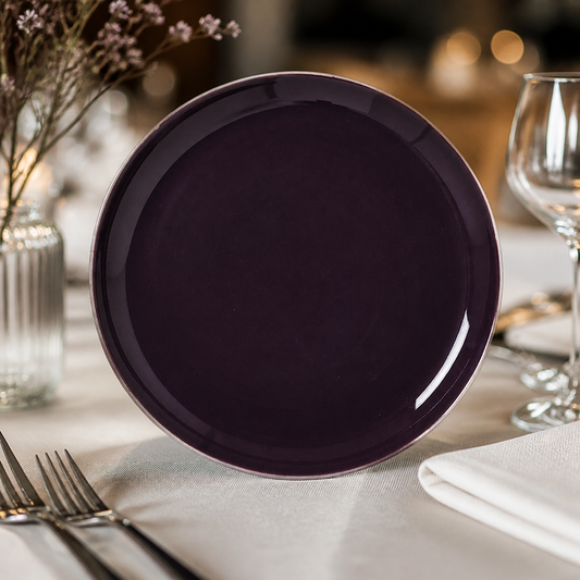 Commercial Coupe Plates 252.5mm Style 12 Pack