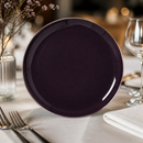 Commercial Coupe Plates 252.5mm Nordic Style 12 Pack
