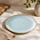 Commercial Stonecast Round Coupe Plates Duck Egg Blue 217mm