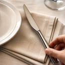 Commercial Stainless Steel Table Knife Set 12 Pack