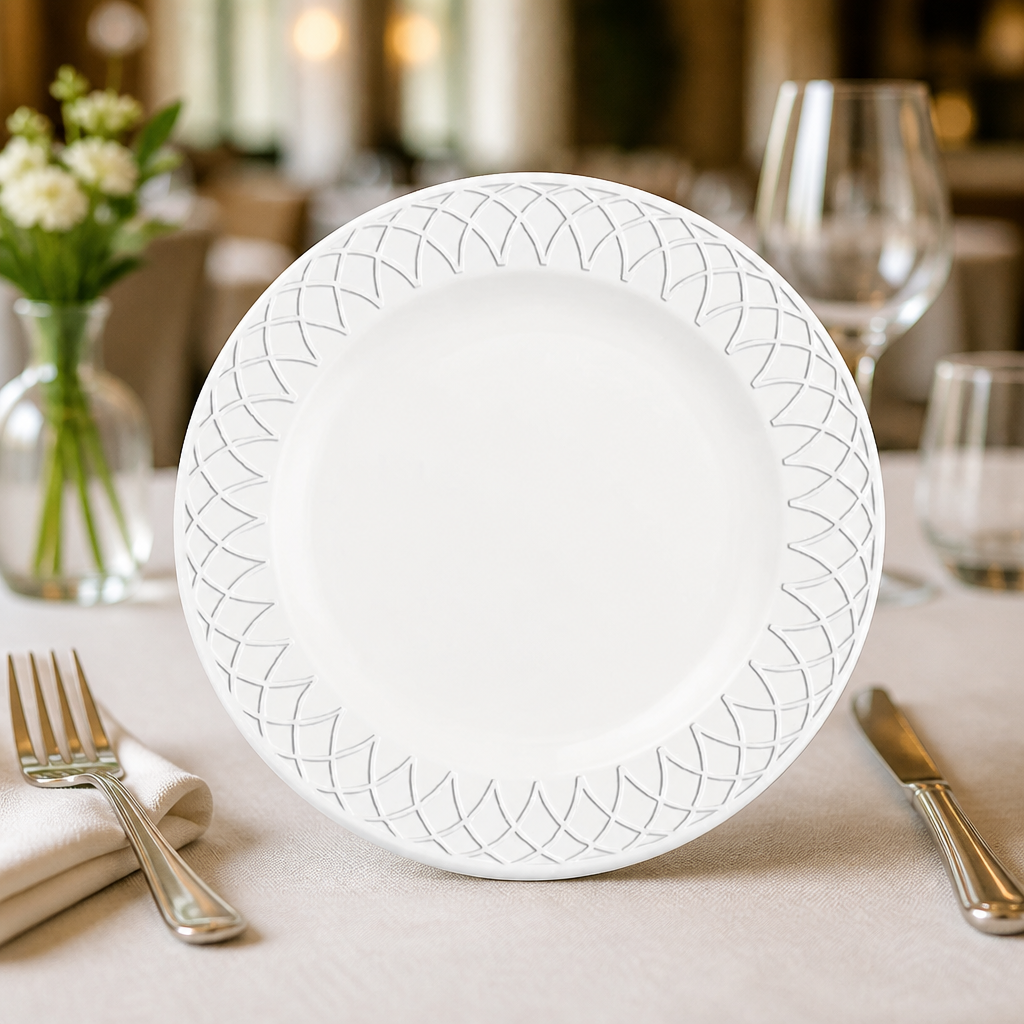Commercial 254mm porcelain plates, 12 pack