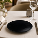 Commercial Vitrified Stoneware Coupe Plates 205mm - 6 Pack