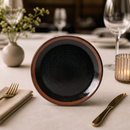 Commercial Coupe Plates 300mm Iron Red Glaze - 12 Pack