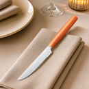 Commercial Table Knives Orange 12 Pack 223mm Length