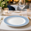 Commercial Footed Plates 260mm Ocean Blue 12 Pack