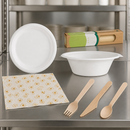 Sustainable Picnic Kit with Wooden Cutlery and Compostable Plates