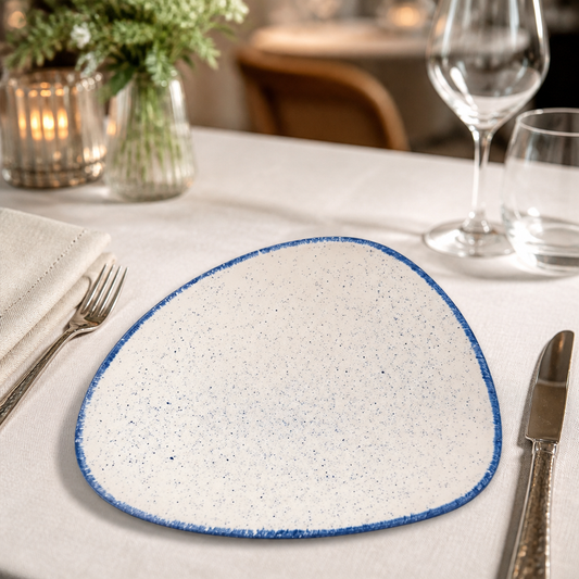 Commercial Triangular Plates 229mm Indigo Blue 12 Pack