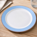 Commercial Blue Service Plates 300mm - 12 Pack Porcelain