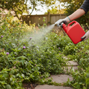 Premium Ready-to-Use Brushwood Weed Killer - 4 Litre Quantity for Effective Control of Woody Weeds and Tree Stumps