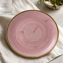 Commercial Coupe Plates 254mm Pink Super Vitrified Ceramic 12 Pack