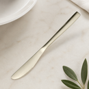 Commercial Dessert Knives Set of 12 Stainless Steel Satin Finish