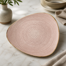 Commercial Stonecast Raw Terracotta Plates 254mm 12 Pack