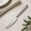 Commercial Steak Knives Set of 12 for Restaurant Use