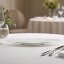 310mm Frost Plates White - 6 Pack Commercial Dinnerware