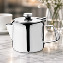 Commercial Stainless Steel Teapot 410ml for Catering Service