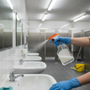 Premium Professional Washroom Cleaner 750ML - Disinfectant Spray Killing 99.99% of Bacteria and Soap Scum Removal